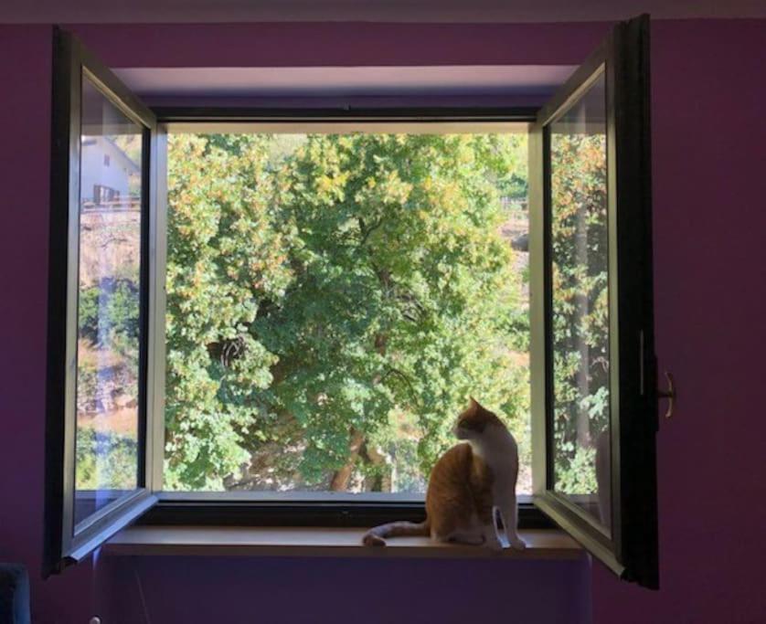 Casa Con Vista A Gravere Екстериор снимка